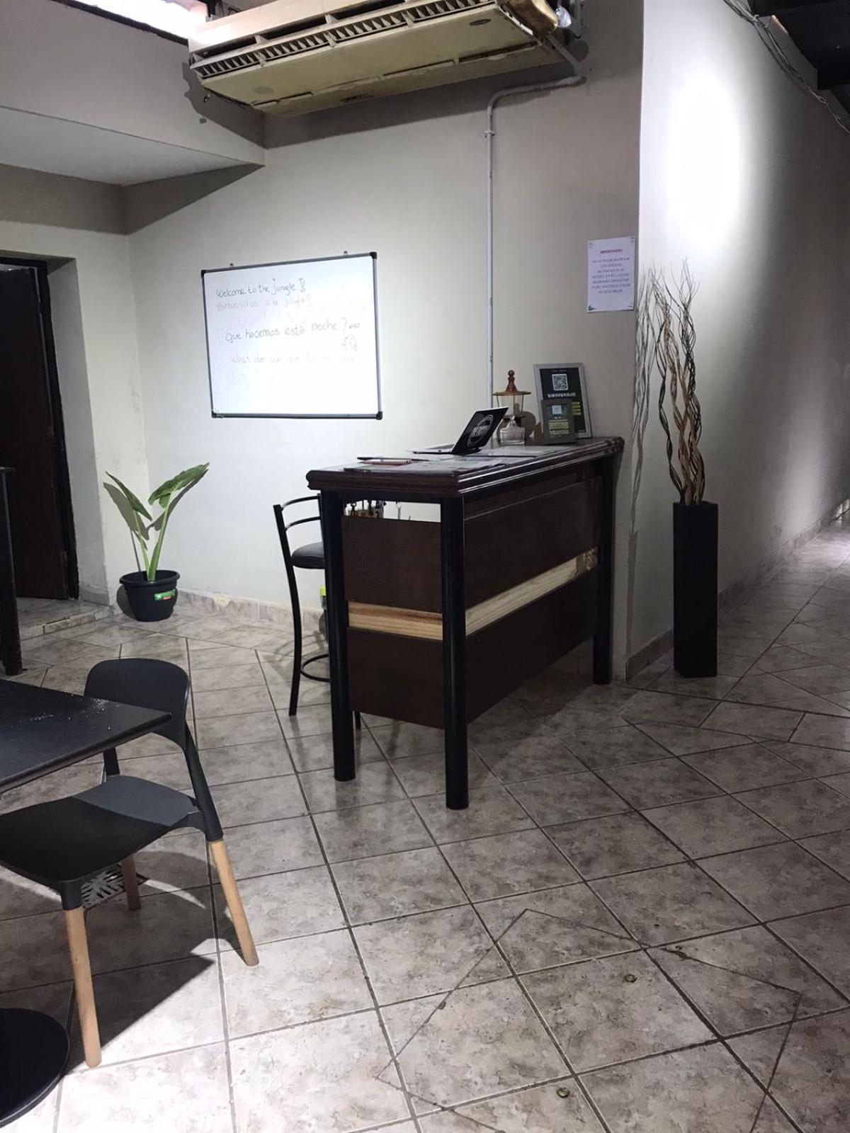 Urban Jungle Hostel San Miguel de Tucumán Екстериор снимка